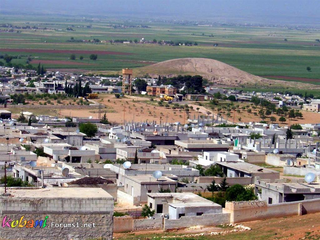 كوباني-في-الربيـع-(2) (Large).jpg