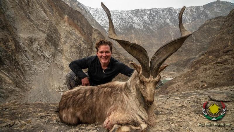 Rare goat