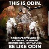 Odin