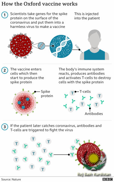oxford vaccine
