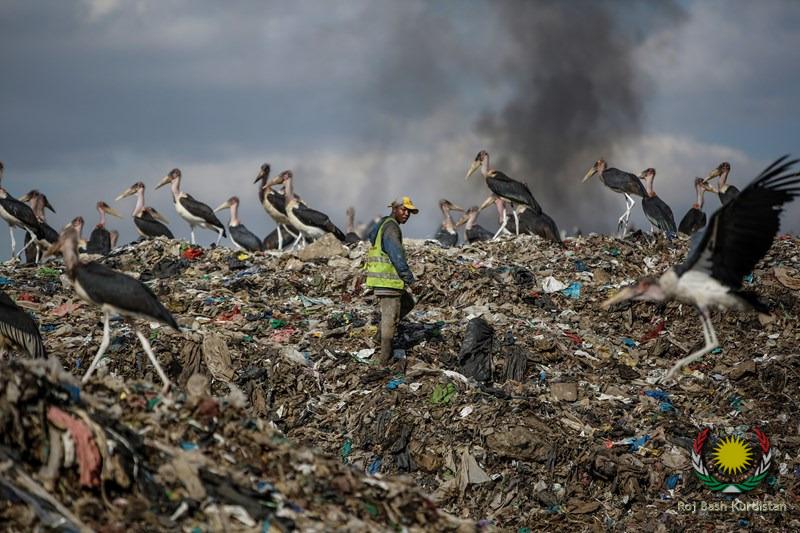 rubbish tip