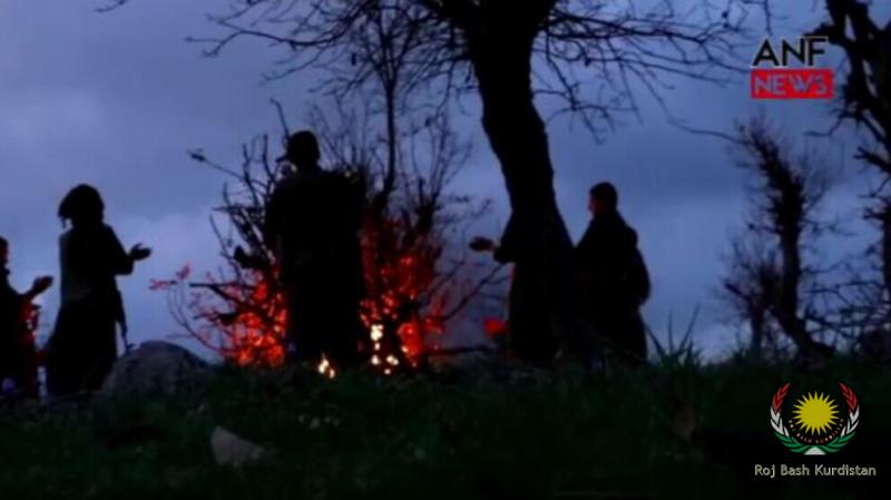 newroz fir
