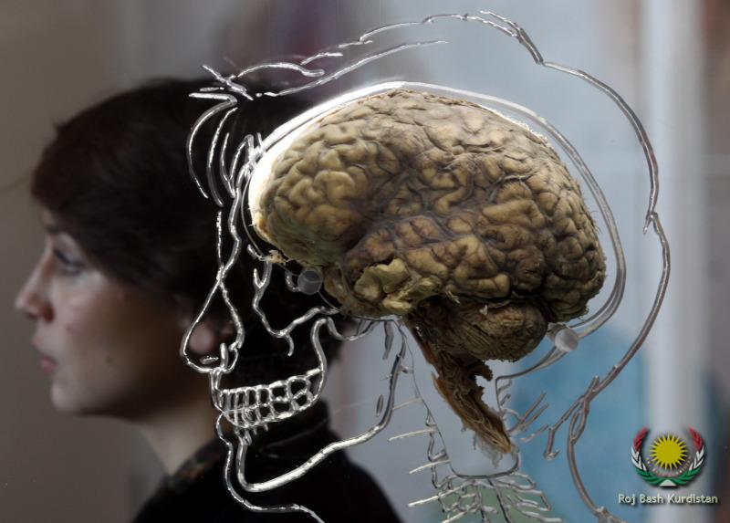 Your Memory