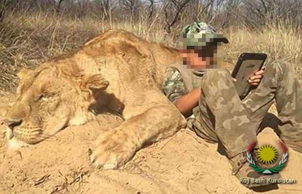 Dead-lion-boy