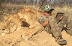 Dead-lion-boy
