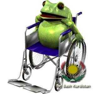 Frog in wheelchair