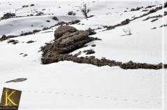 The Beautiful Nature of Kurdistan