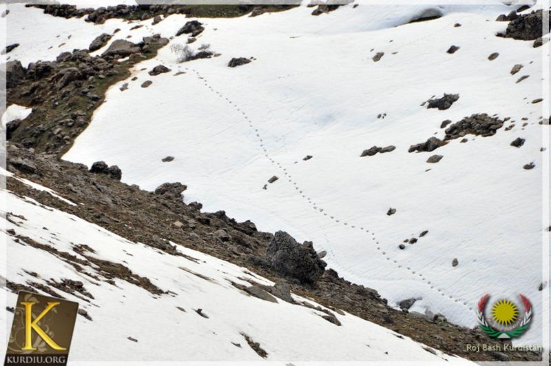 The Beautiful Nature of Kurdistan