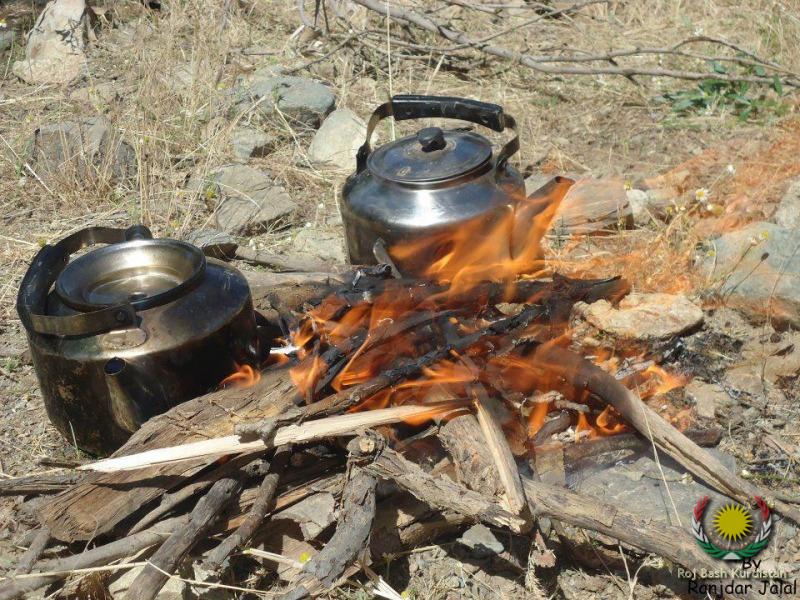 Tea in Kurdish nature