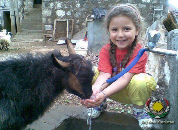 Kurdish girl feeding her pet