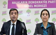 HDP co-chairs