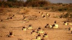 Iraqi Land Mines
