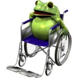 Frog in wheelchair