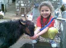 Kurdish girl feeding her pet